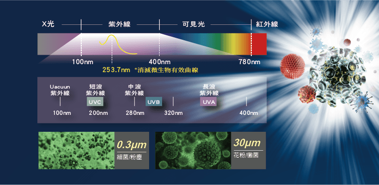 奇美家電